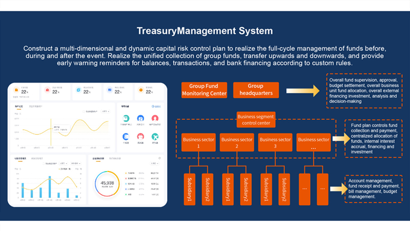 Treasury Management System